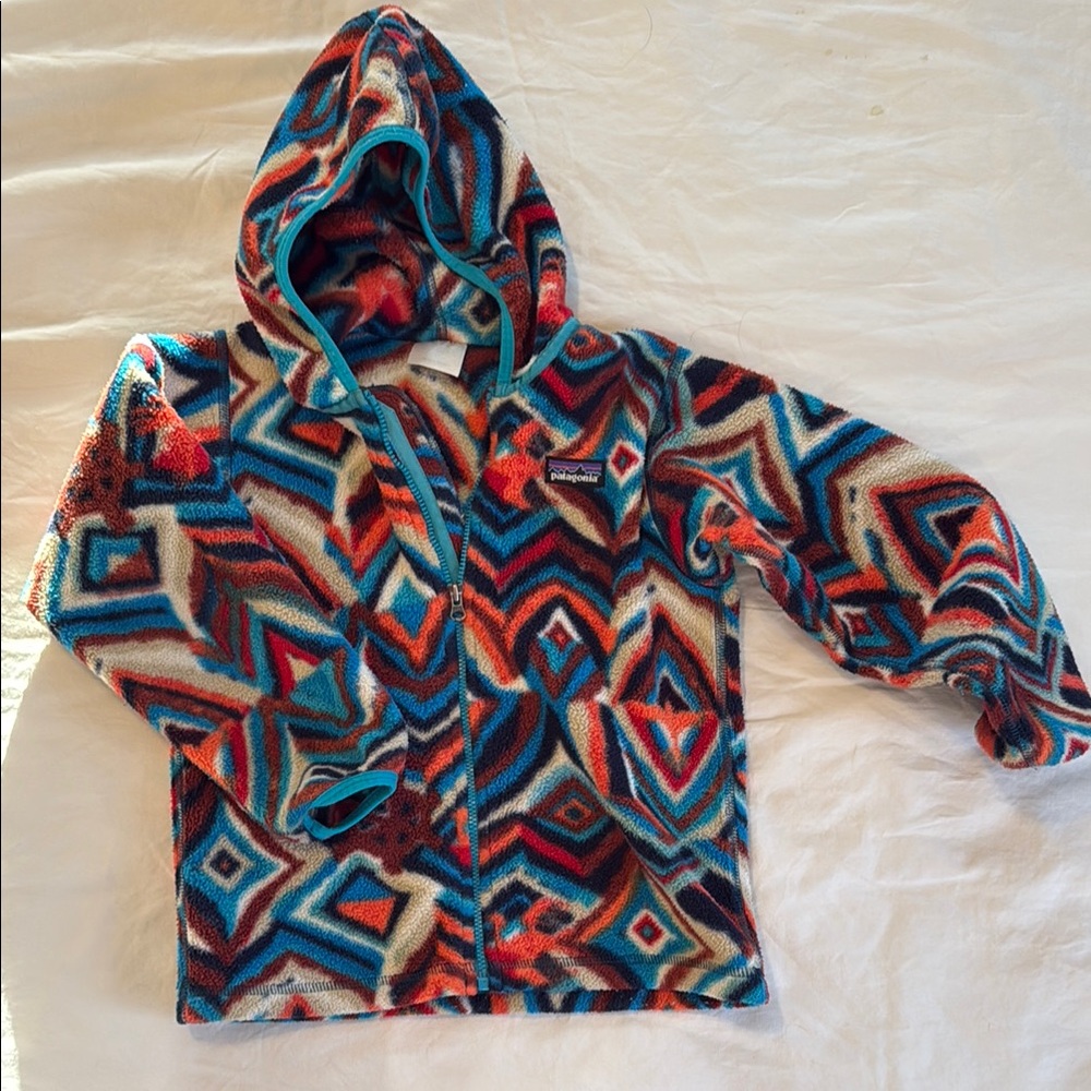 Patagonia Synchilla Fleece Jacket